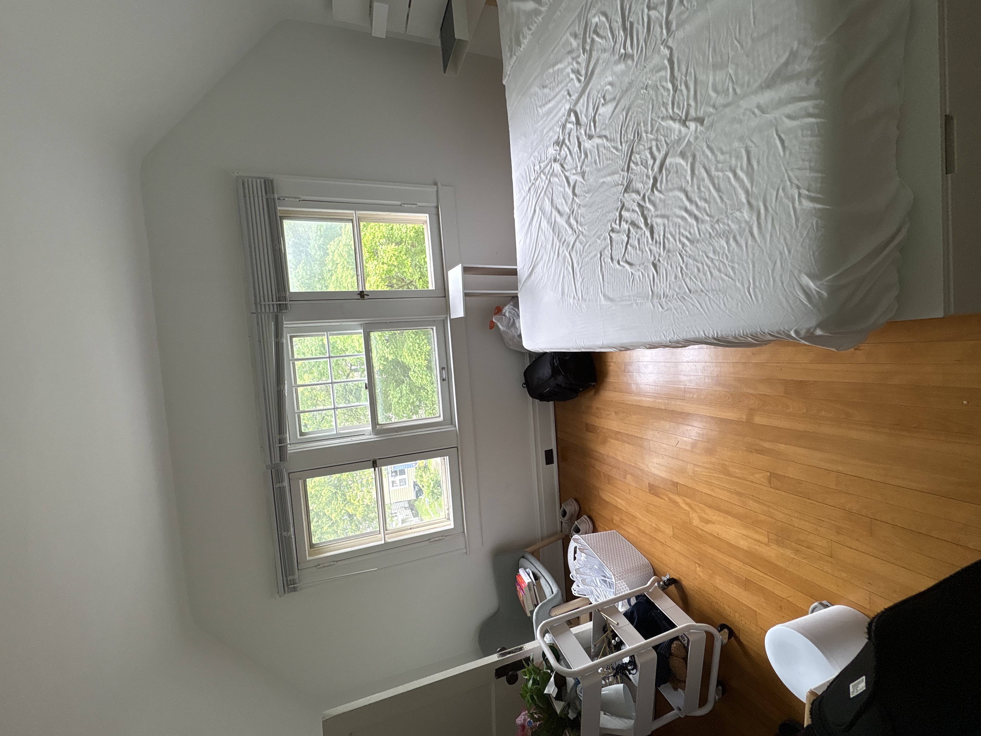 IMG_6151.jpeg