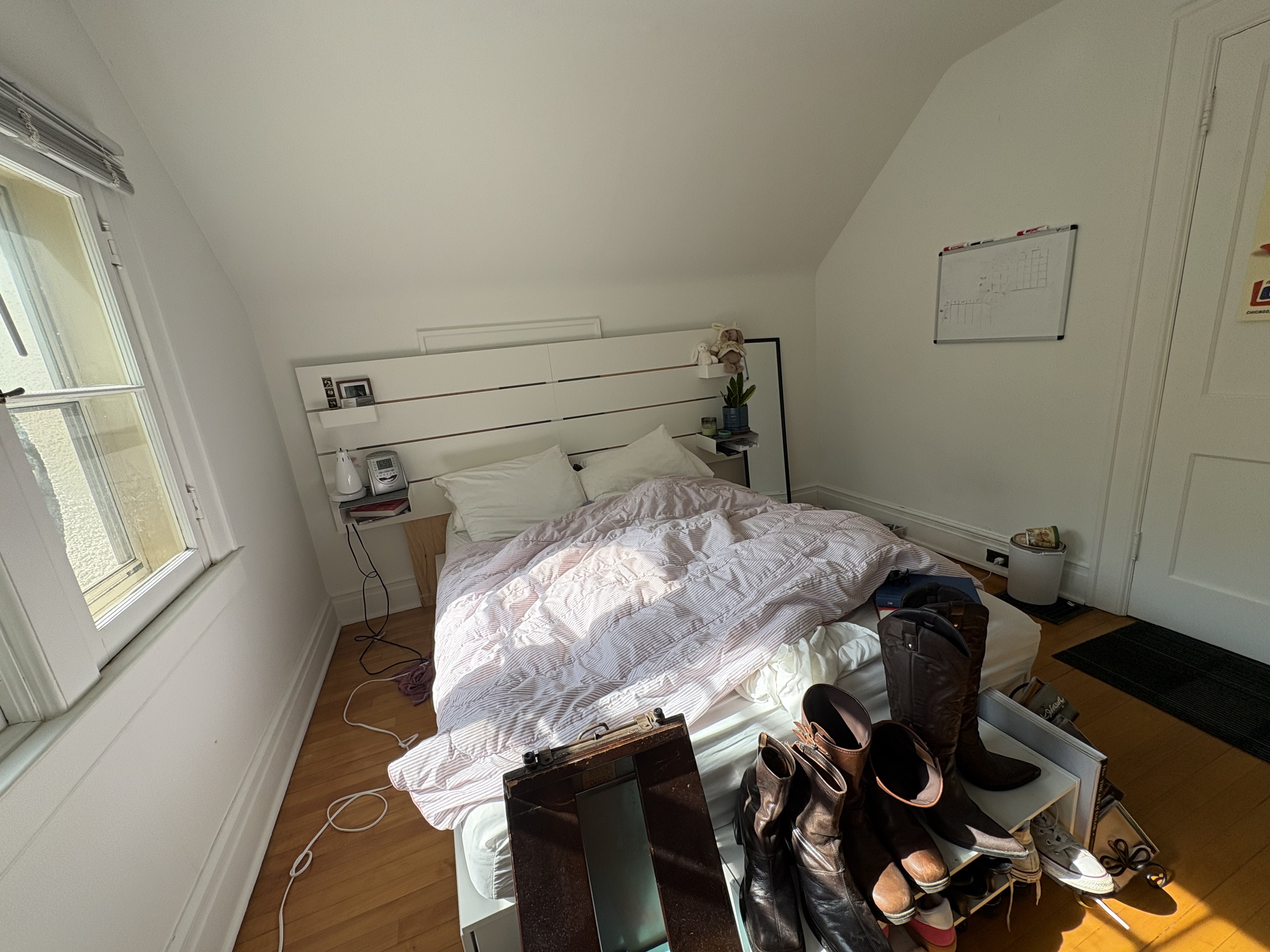IMG_3209.jpeg