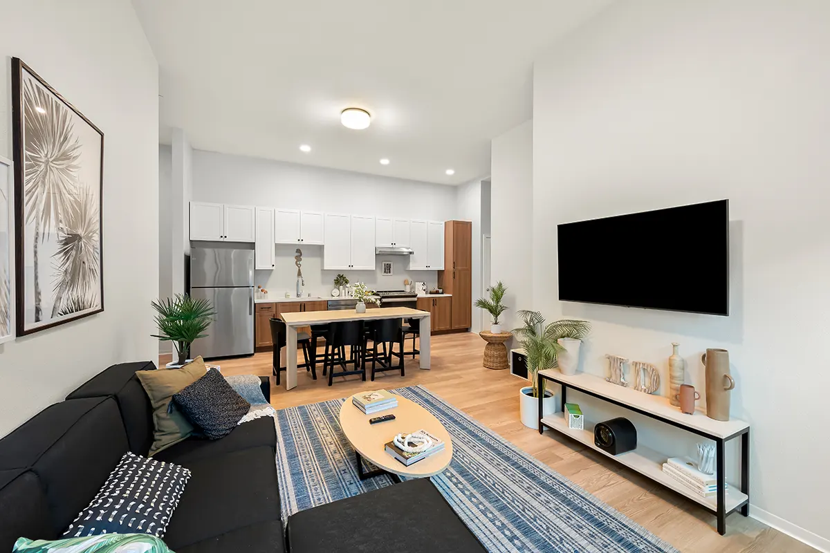 Living Area/Kitchen