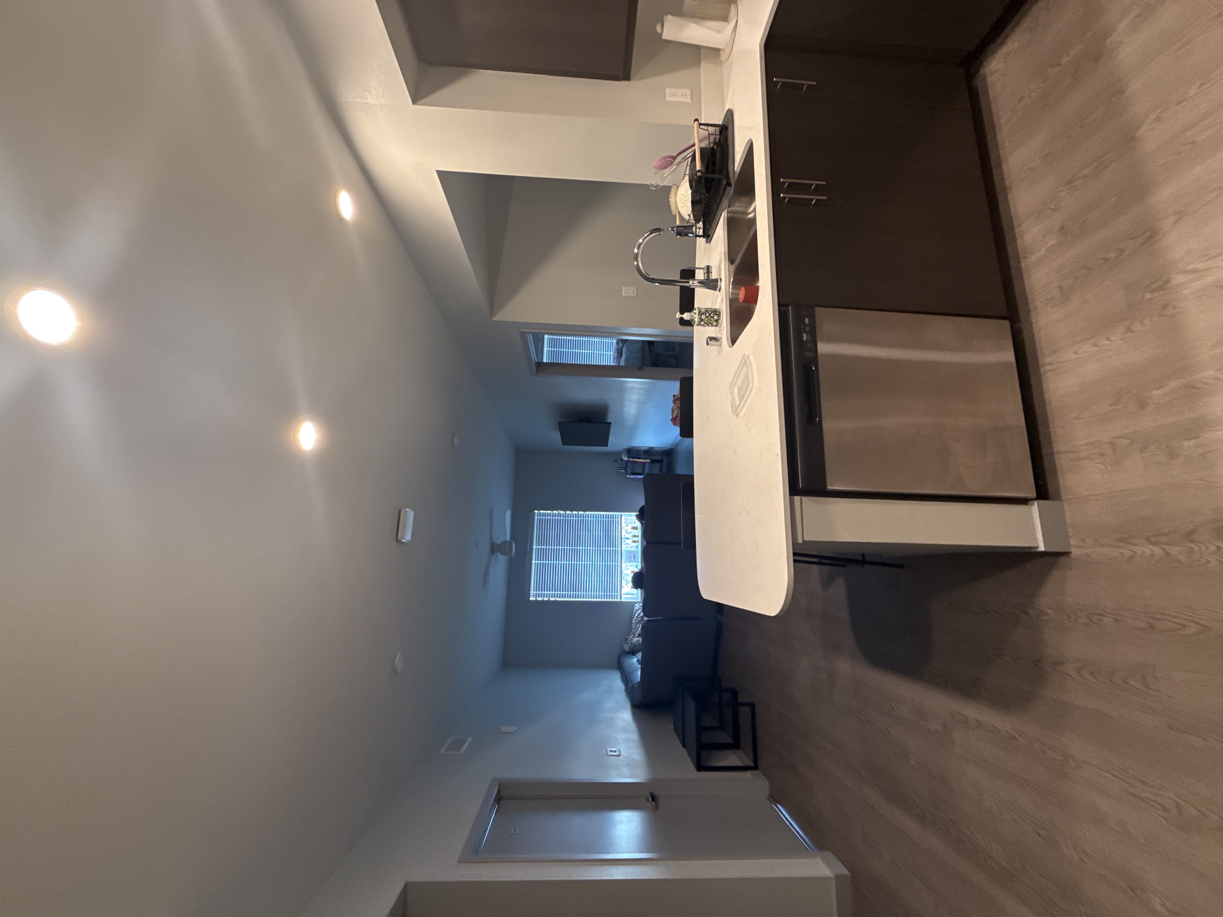Living room and kitchen