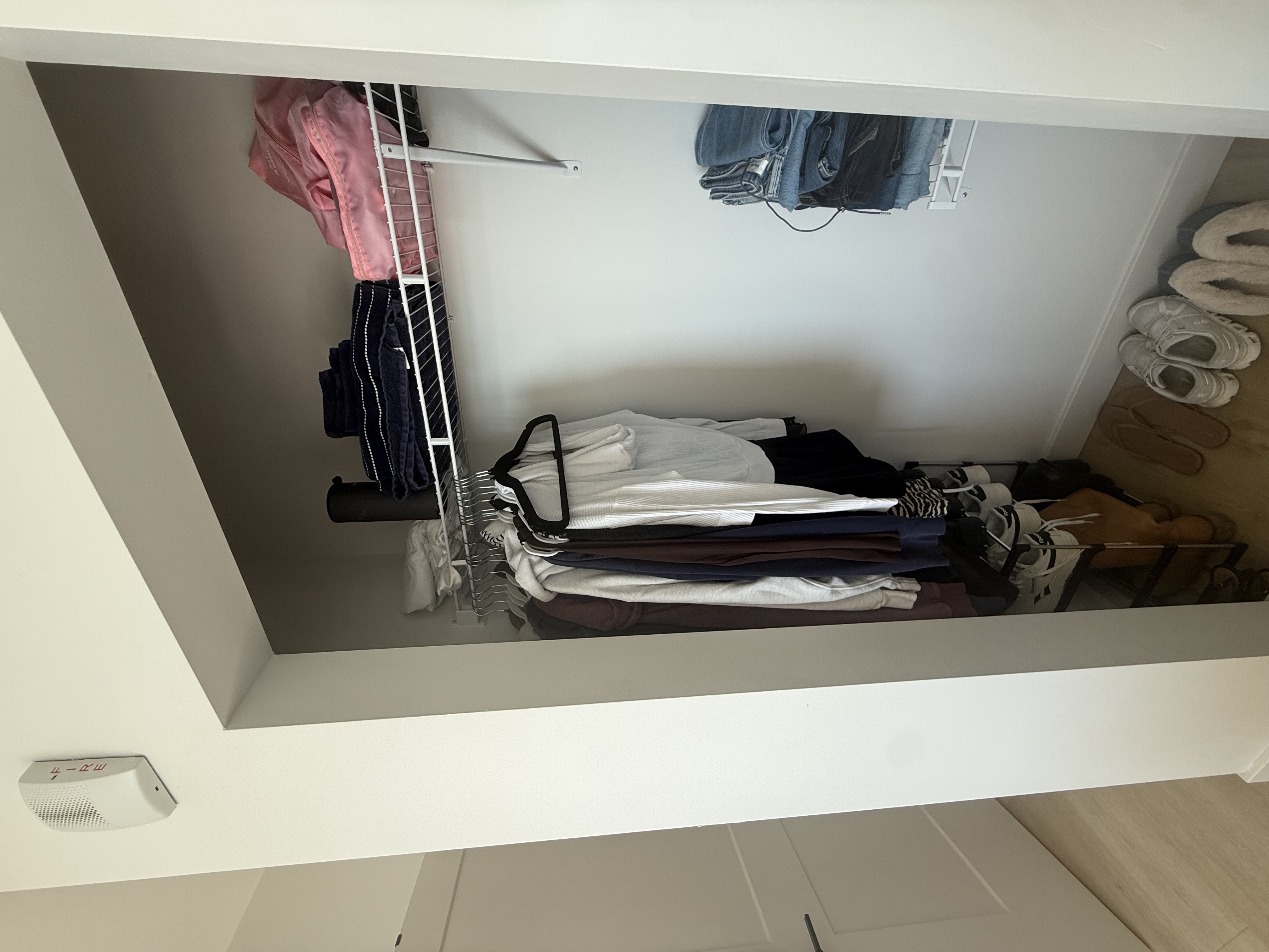 IMG_7367.jpeg