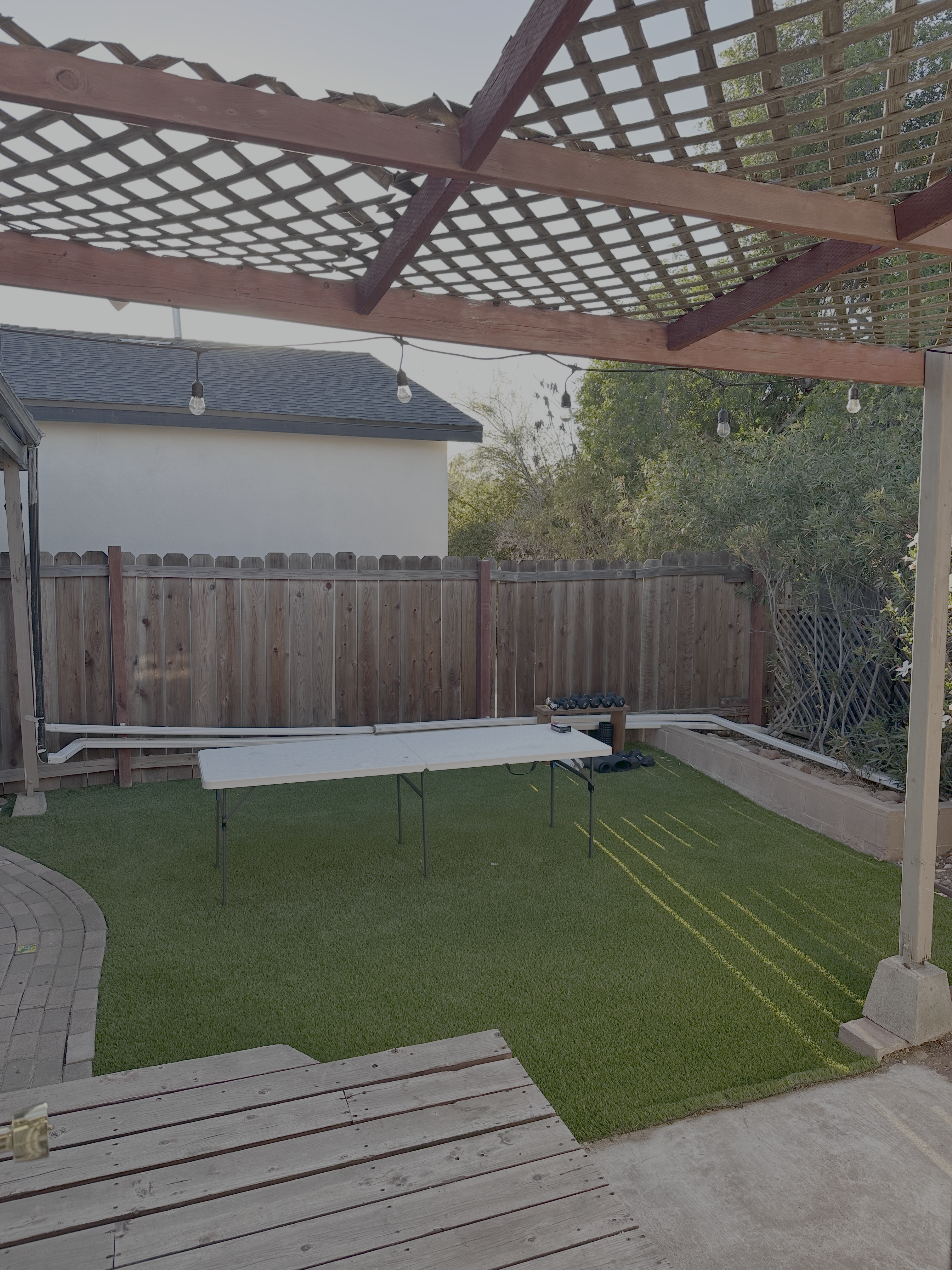 Backyard