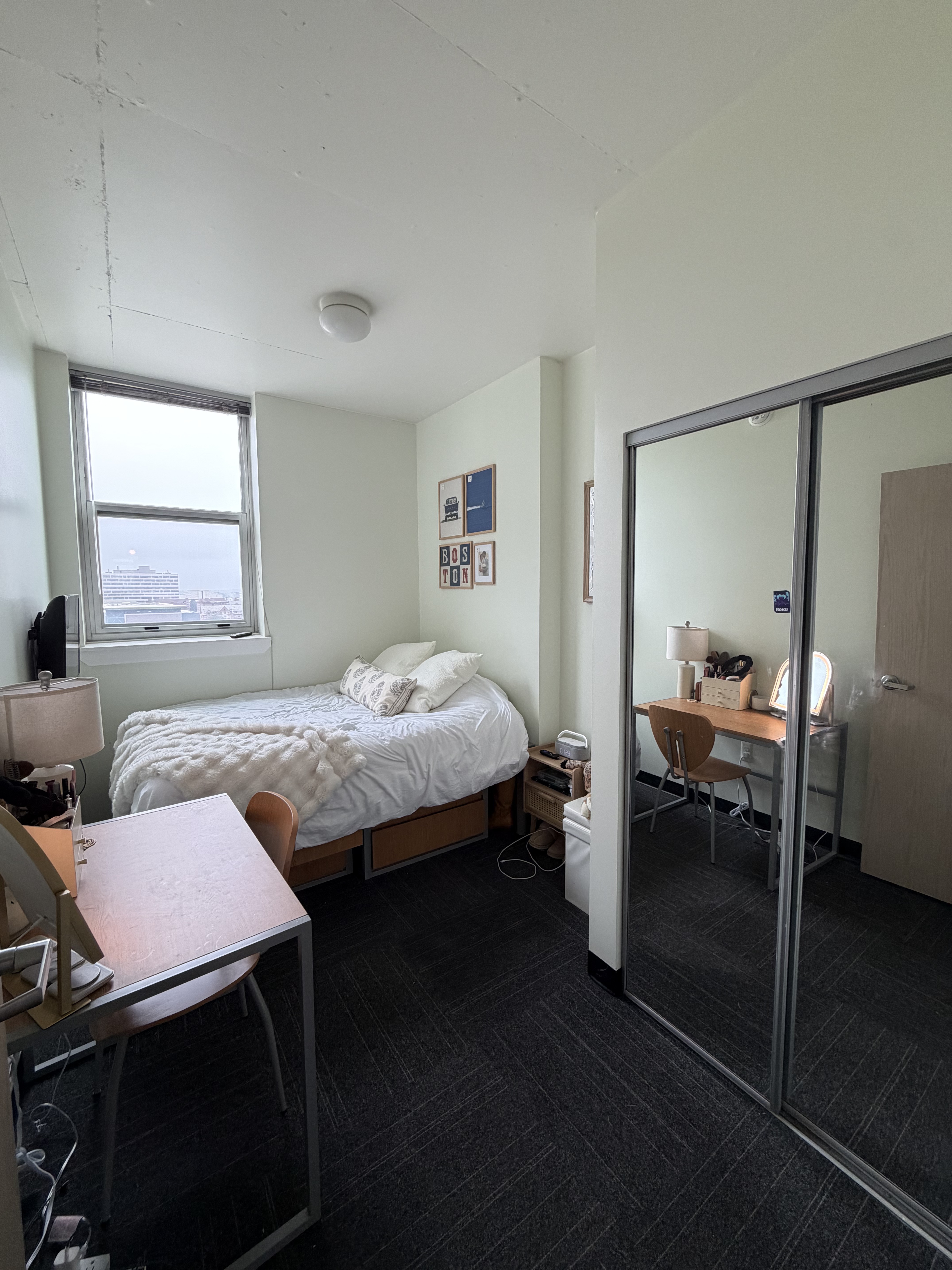 Mirrored closet doors
